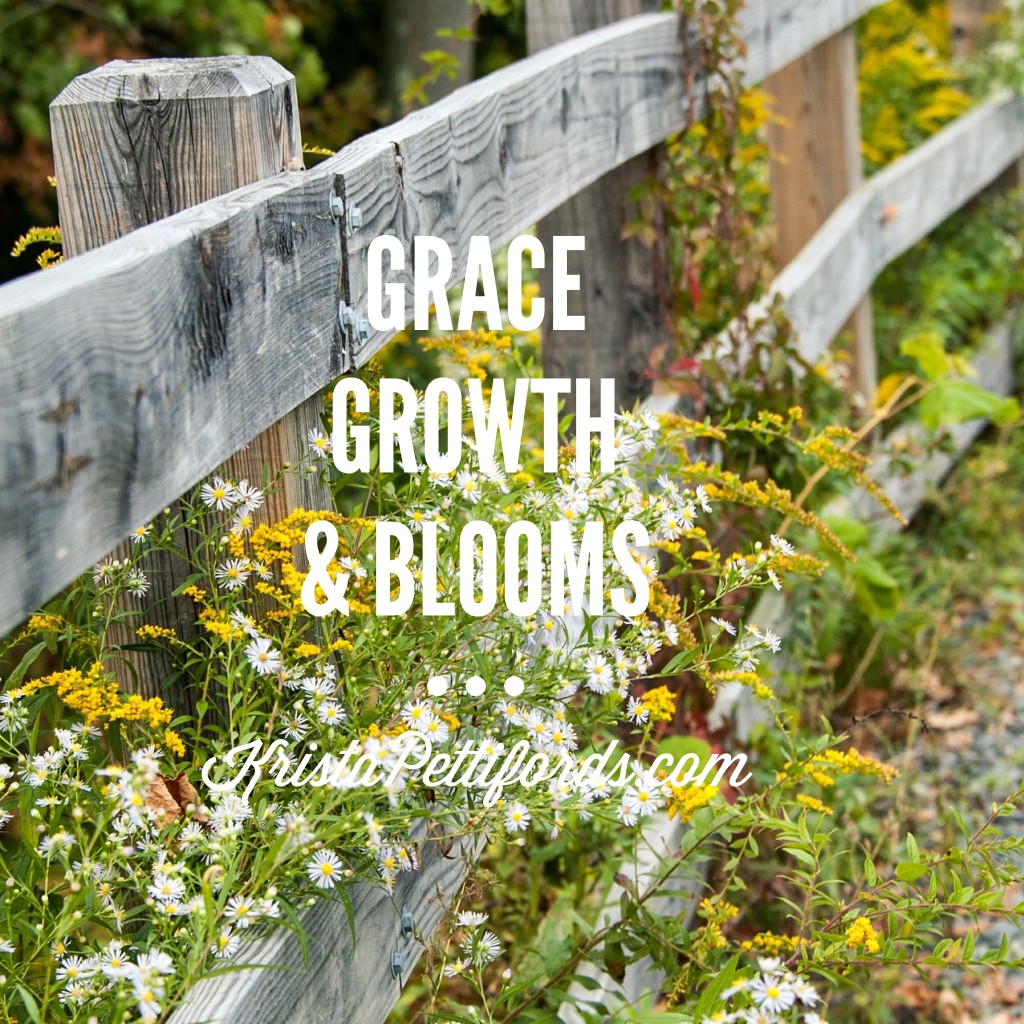 grace, growth & blooms