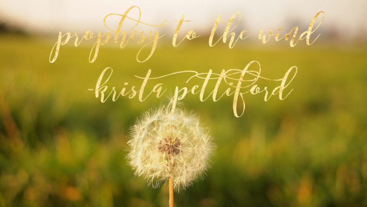 Welcome The Wind |A Time To Prophesy - Krista Pettiford
